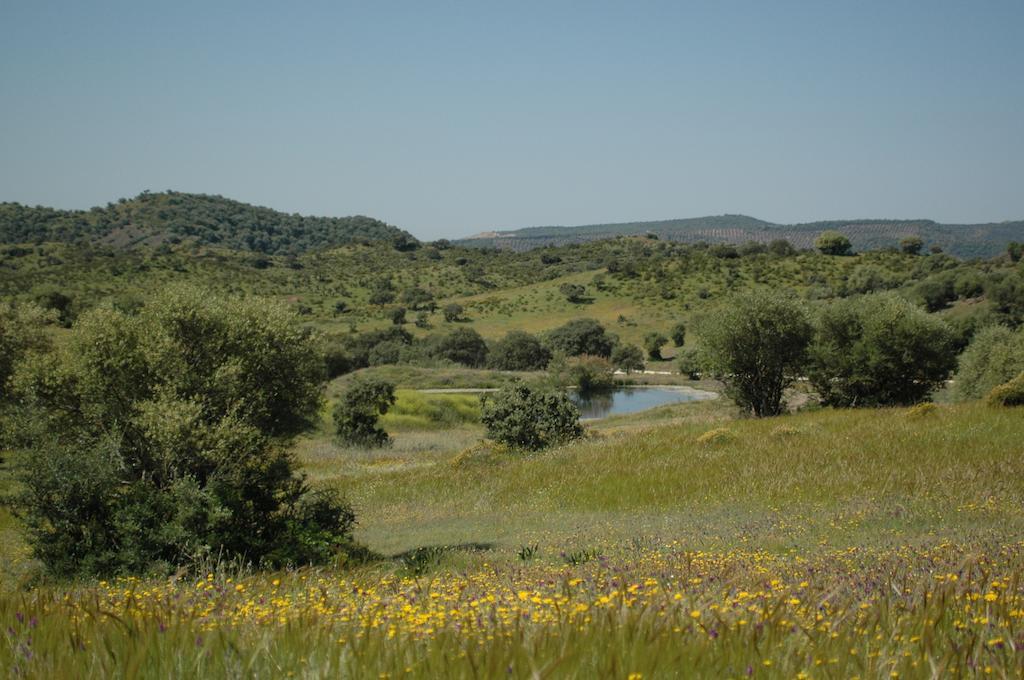 Albergue Rural De Fuente Agria Pansiyon Villafranca de Córdoba Dış mekan fotoğraf