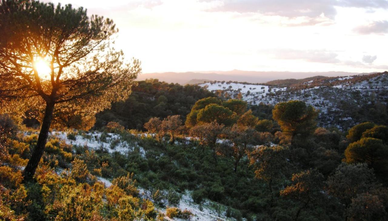 Albergue Rural De Fuente Agria Pansiyon Villafranca de Córdoba Dış mekan fotoğraf